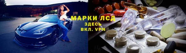 ГАЛЛЮЦИНОГЕННЫЕ ГРИБЫ Абаза