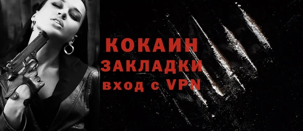 ГАЛЛЮЦИНОГЕННЫЕ ГРИБЫ Абаза