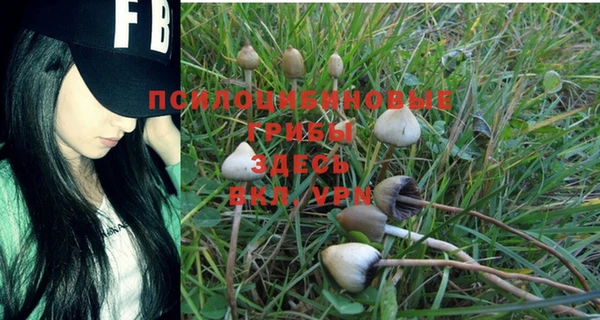 ГАЛЛЮЦИНОГЕННЫЕ ГРИБЫ Абаза