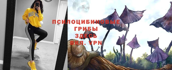 ГАЛЛЮЦИНОГЕННЫЕ ГРИБЫ Абаза
